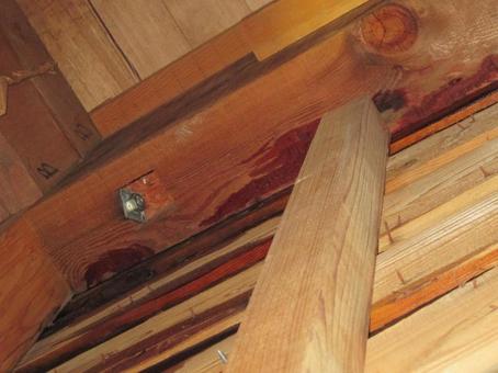 雨漏りの発生した天井